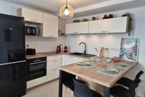 Magnifique appartement vue mont blanc